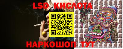 прущие грибы Конаково