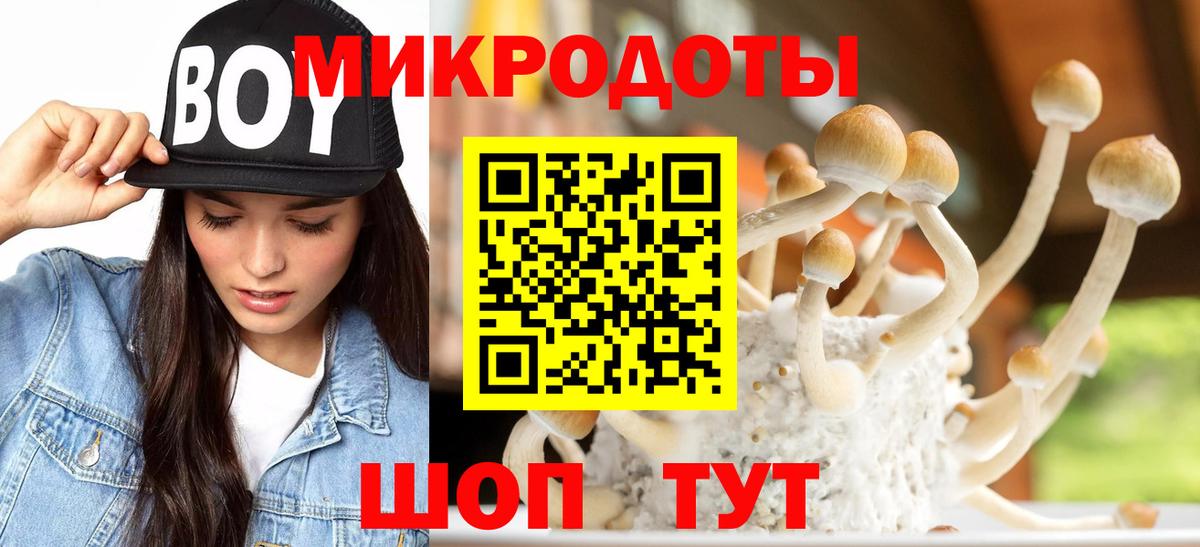Назарово  Галлюциногенные грибы MAGIC MUSHROOMS  Вход с VPN 