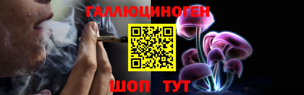Псилоцибиновые грибы мицелий Назарово
